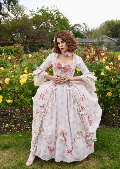 Fête Galantes Gown 🎀