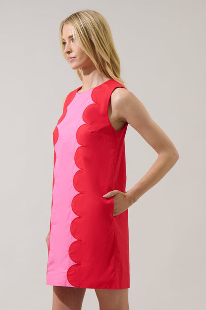 Elliana Color Block Mini Dress