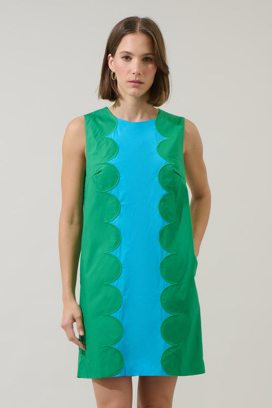 Elliana Color Block Mini Dress