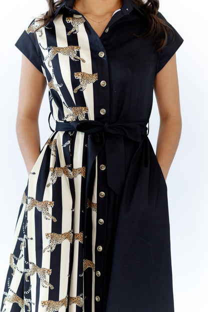 Mecca Striped Cheetah Maxi Dress