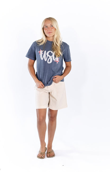 USA Graphic Tee