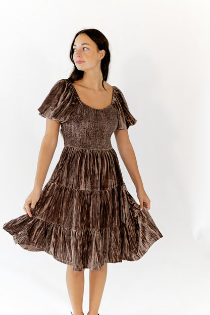 Johanna Crushed Velvet Dress