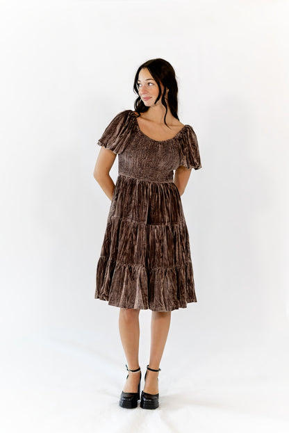 Johanna Crushed Velvet Dress