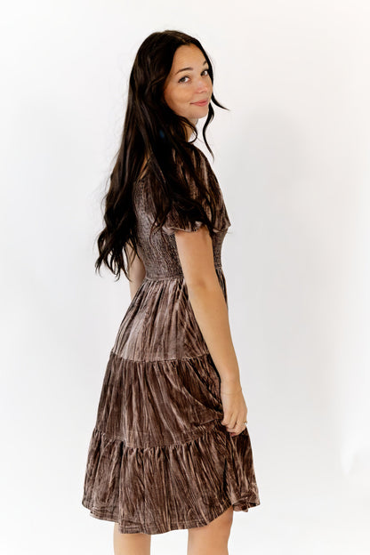 Johanna Crushed Velvet Dress