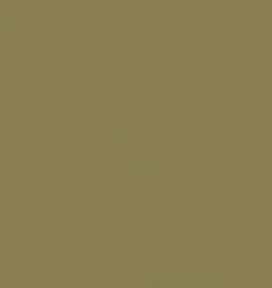 Elisse Top - Solid Olive