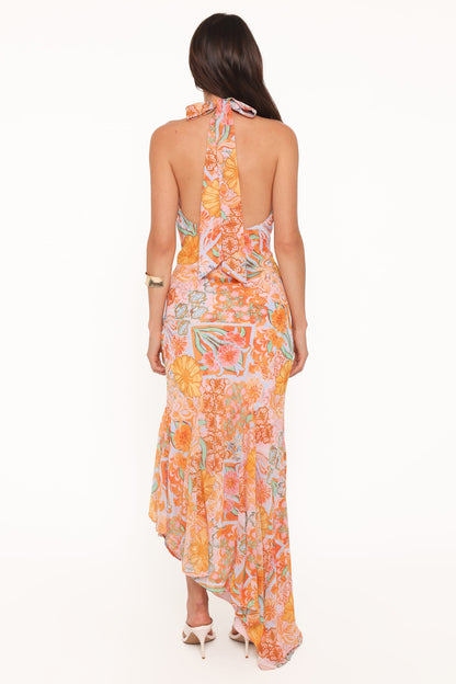 Alkira Maxi Dress - Orange Summer Garden
